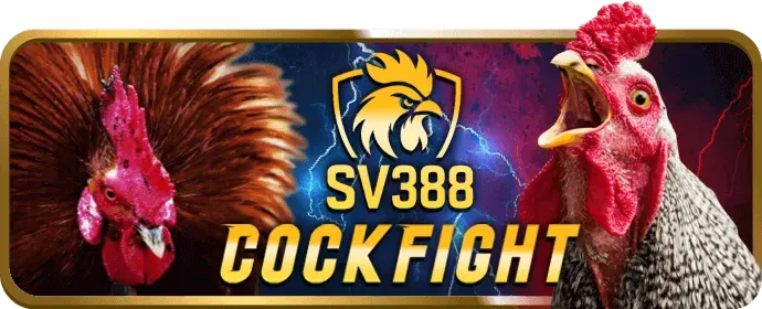 Cá cược có trách nhiệm V99